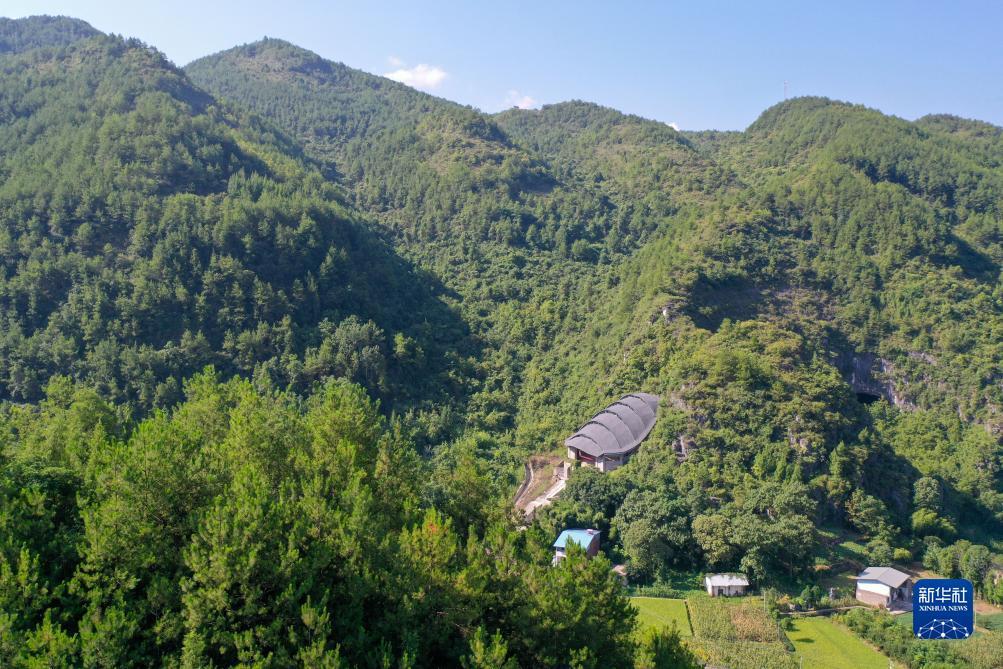 小勐拉新龙腾